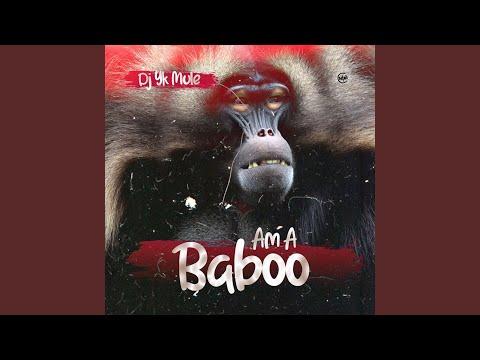 DJ Yk Mule Am A Baboo MP3 Download