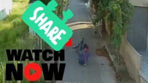 Watch Full Video of How Emily Bispo Da Cruz Was Stabbed to Death, Emily Bispo Da Cruz Death Video