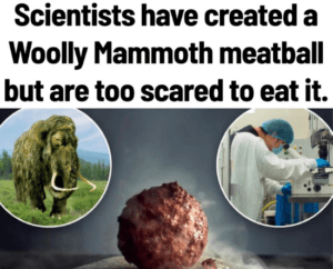 Woolly Mammoth Ballmeat Created by Scientist, But Are Too Scared to Eat it