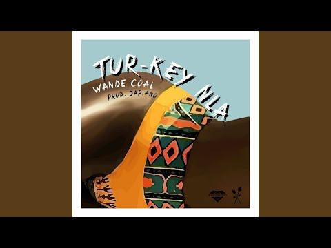 Wande Coal Turkey Nla MP3 Download