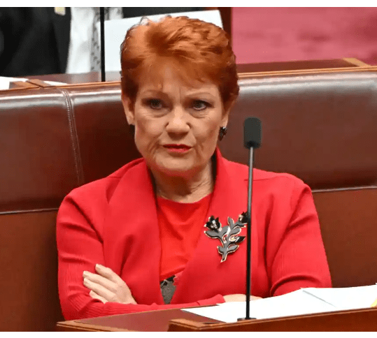 Pauline Hanson disability video leaked, One Nation video mocking NDIS condemned