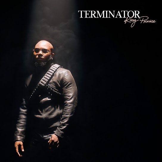 King Promise Terminator MP3 Download