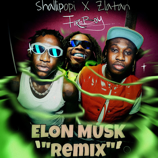Shallipopi ft Zlatan & Fireboy DML  Elon Musk (Remix) MP3 Download
