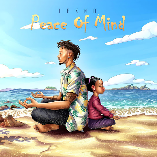 Tekno Peace of Mind MP3 Download