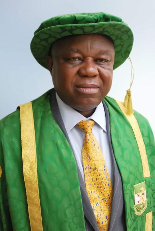 Indicators of sustainable development show that Nigeria is still in poor shape - UNN VC