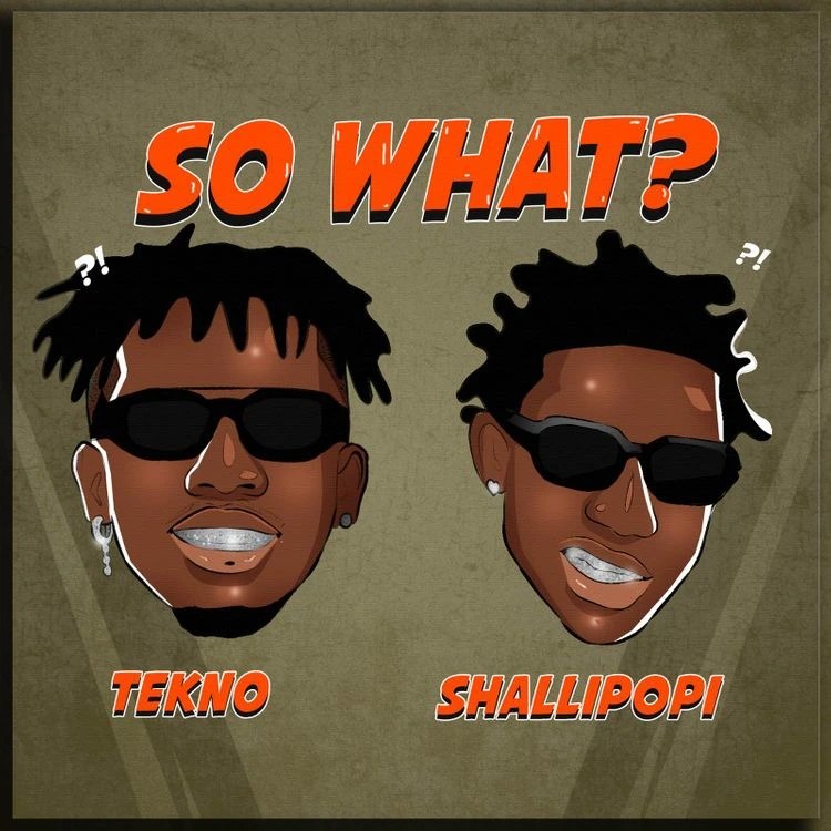 Tekno - So What ft. Shallipopi