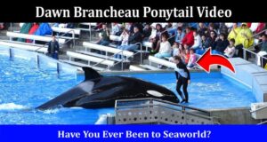 Dawn Brancheau Video Seaworld Trainer Ponytail Attack Twitter