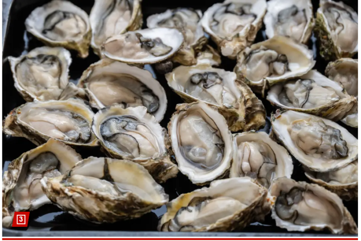 48 oysters video leaked video, Woman ate 48 oysters on a date